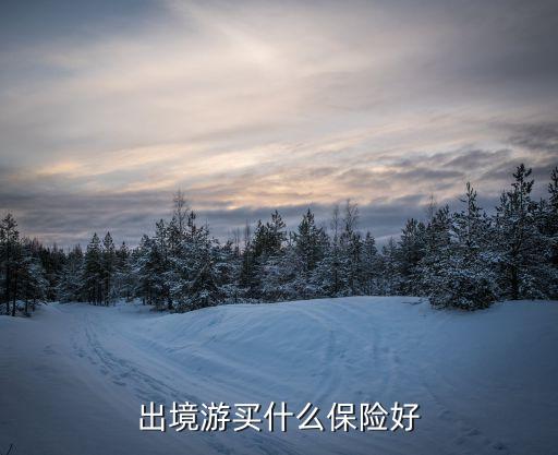 出境游买什么保险好