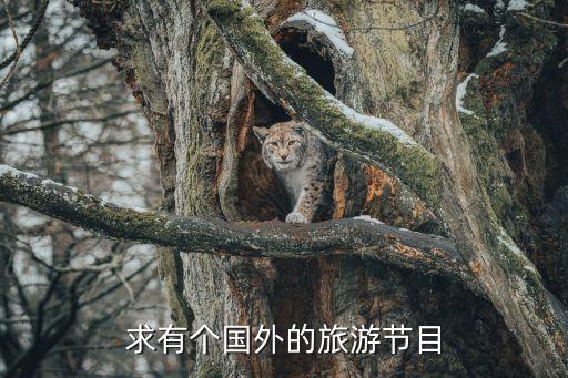 国外人文旅游综艺叫什么，求有个国外的旅游节目