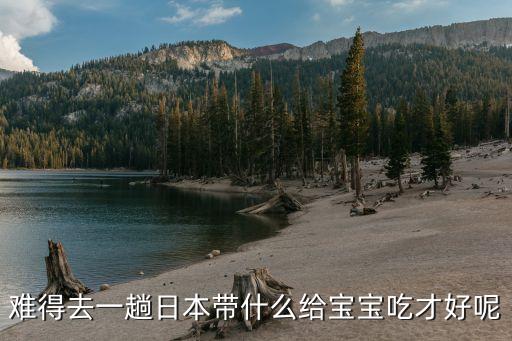 宝宝国外旅游吃什么，请教去过的人去美国可给一岁的宝宝带些什么辅食