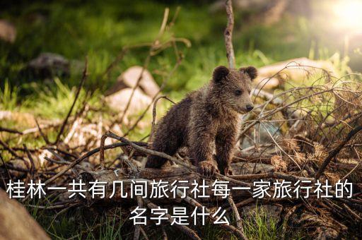 桂林一共有几间旅行社每一家旅行社的名字是什么