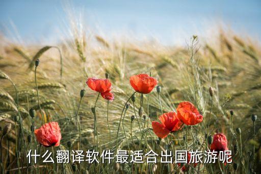 什么翻译软件最适合出国旅游呢