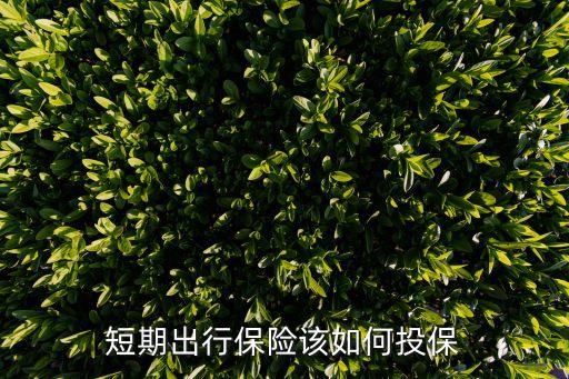 短期出行保险怎么买，短期出行保险该如何投保