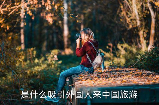 在国外怕什么人来中国旅游，是什么吸引外国人来中国旅游