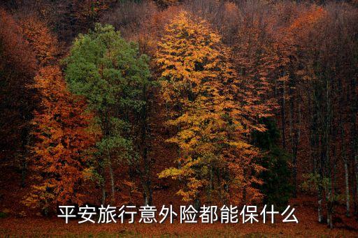 平安旅行意外险都能保什么