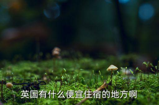 国外旅游哪里住宿便宜，国外酒店预订哪家比较便宜