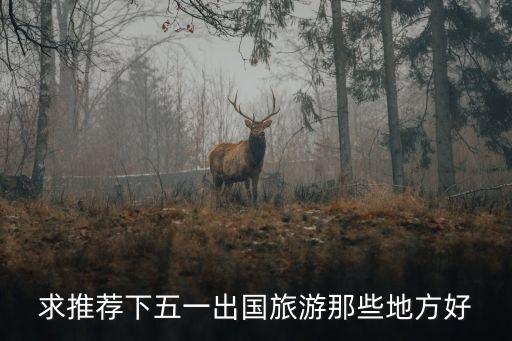 求推荐下五一出国旅游那些地方好