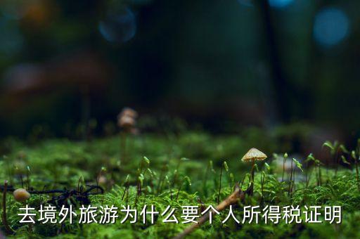 国外旅游为什么收税，去境外旅游为什么要个人所得税证明