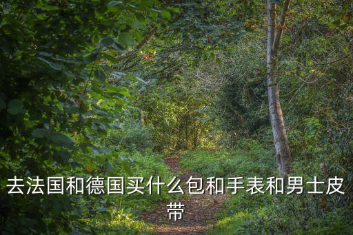 男士国外旅游背什么包，男士出去旅游带什么包比较好