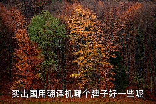 买出国用翻译机哪个牌子好一些呢