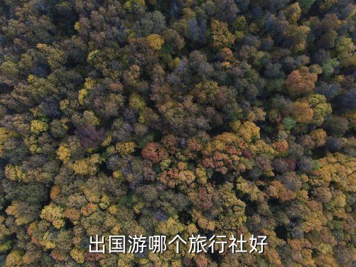 出国游哪个旅行社好