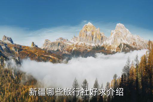 新疆哪些旅行社好求介绍