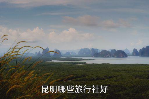 昆明哪些旅行社好