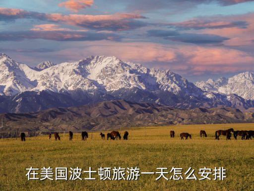 在美国波士顿旅游一天怎么安排