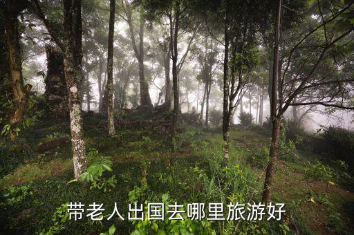 哪些国外适合老人旅游，适合老年人旅游的国家以汉语为主的国家有哪些