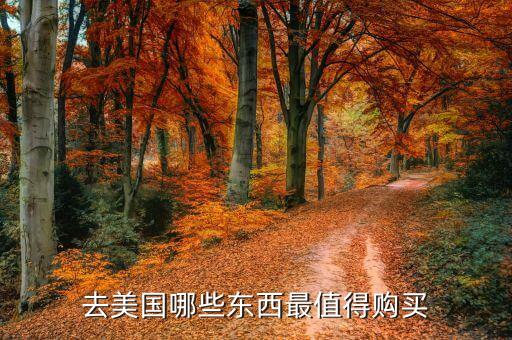 国外旅游买哪些东西好呢，去美国买什么东西最合适啊