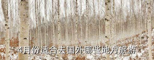 国外什么岛旅游出名，济州岛和普吉岛巴厘岛哪个好玩