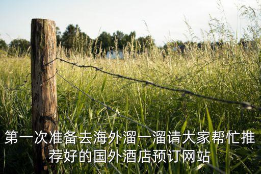 国外旅游订房网站有哪些，第一次准备去海外溜一溜请大家帮忙推荐好的国外酒店预订网站