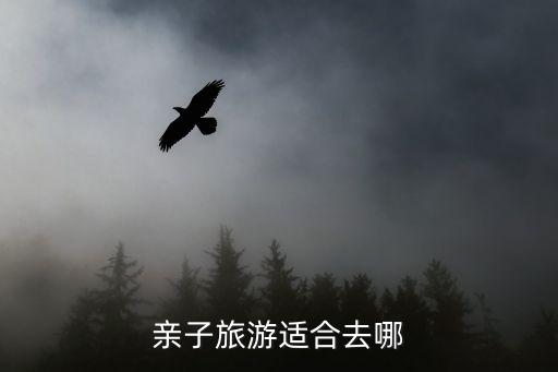 国外机票哪里旅游攻略亲子，出国旅游去哪些地方好玩且机票便宜呢