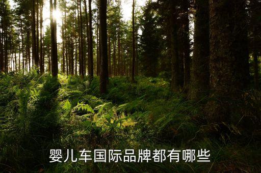 婴儿车国际品牌都有哪些