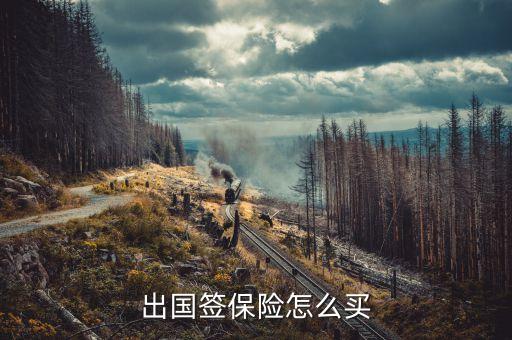 国际旅游保险如何买划算呢，请问在哪买旅游保险既便宜又实惠