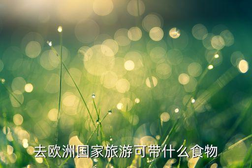 去欧洲国家旅游可带什么食物
