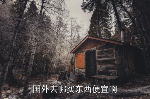 国外去哪买东西便宜啊