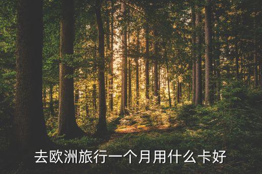 去欧洲旅行一个月用什么卡好