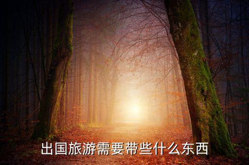 出国旅游需要带些什么东西
