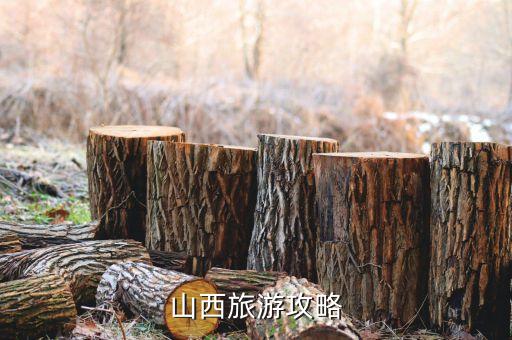 山西旅游攻略