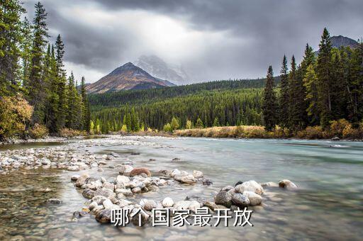 哪个国家最开放