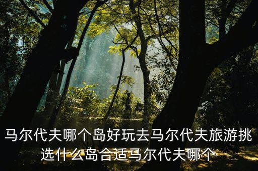 马尔代夫哪个岛好玩去马尔代夫旅游挑选什么岛合适马尔代夫哪个