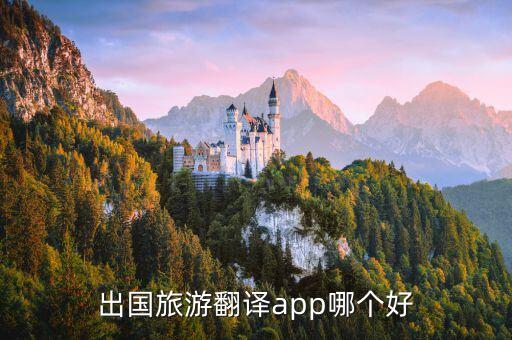 国外旅游哪个翻译软件好，去国外旅行什么翻译软件好用