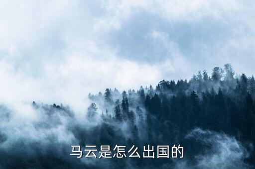 马云去哪个国外旅游了，前期阿里巴巴是怎么招商入驻的