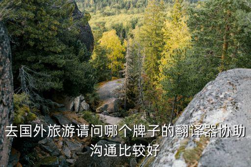 去国外旅游用什么翻译软件贴吧，去国外旅游用什么翻译app好