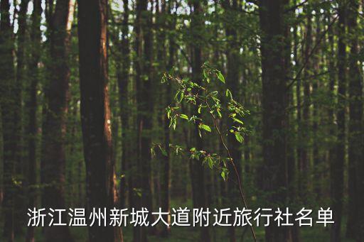 浙江温州新城大道附近旅行社名单