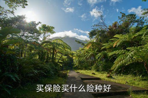买保险买什么险种好
