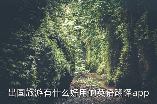 去国外旅游用什么翻译，出国旅游有什么好用的英语翻译app