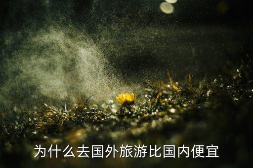 为什么国外旅游比较便宜，为什么越来越多的人都说到国外旅游比在国内旅游便宜