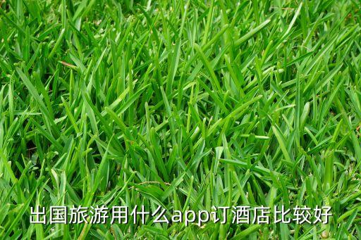 出国旅游用什么app订酒店比较好