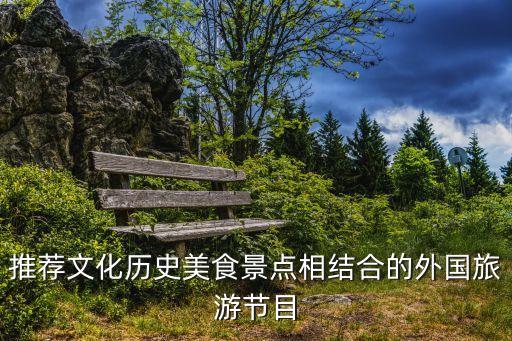 推荐文化历史美食景点相结合的外国旅游节目