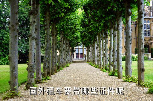 国外旅游租车需要什么手续，到海外租车需要什么手续
