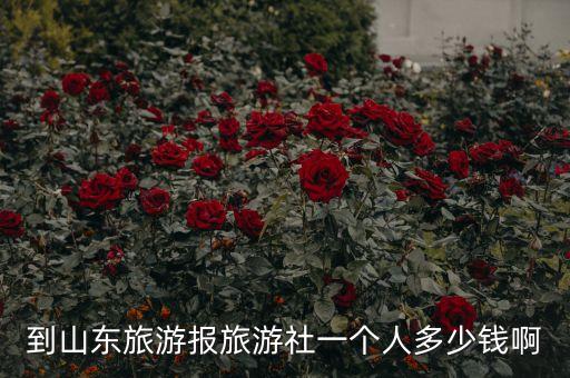 到山东旅游报旅游社一个人多少钱啊