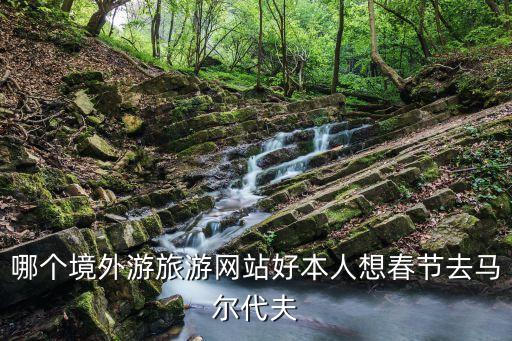 哪个境外游旅游网站好本人想春节去马尔代夫