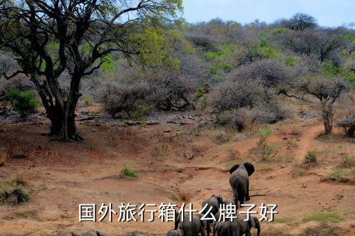 国外旅游产品品牌有哪些，德国户外品牌有哪些