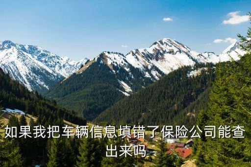 如果我把车辆信息填错了保险公司能查出来吗