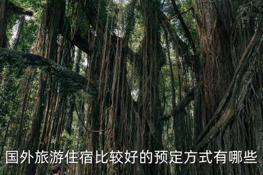 到国外旅游住在哪里好租房，想到国外住2个月 什么地方最方便 要有网 且速度快费用低一点
