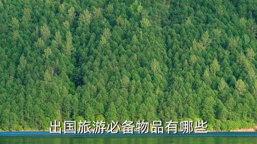 出国旅游必备物品有哪些