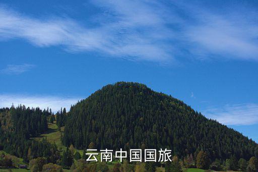 国中旅 中国国际旅行社，中国旅行社与中国国际旅行社有什么不同