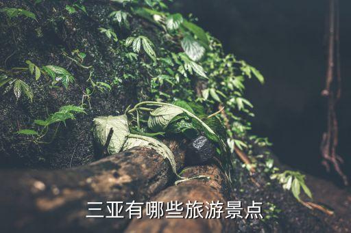 三亚有哪些旅游景点