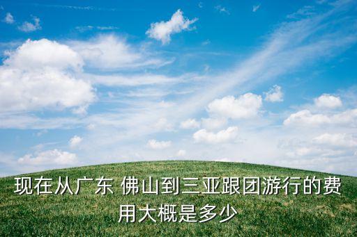 现在从广东 佛山到三亚跟团游行的费用大概是多少